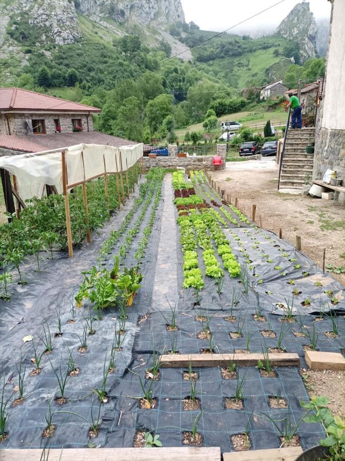 فندق Casa Cuevas Caín المظهر الخارجي الصورة